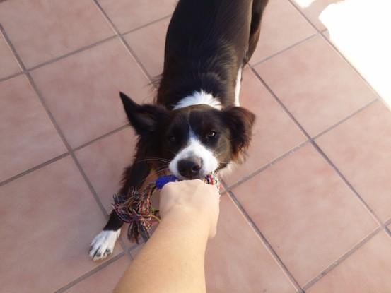 Jugando con Buika