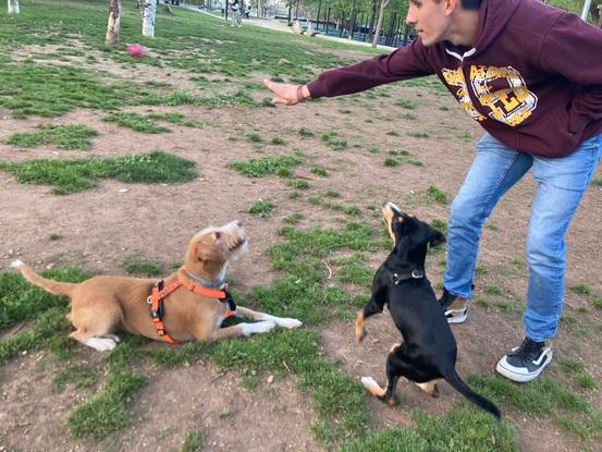 Jugando con Duna y Onyx