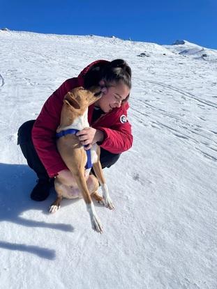Frida in the snow
