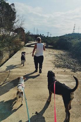 Paseo por el campo