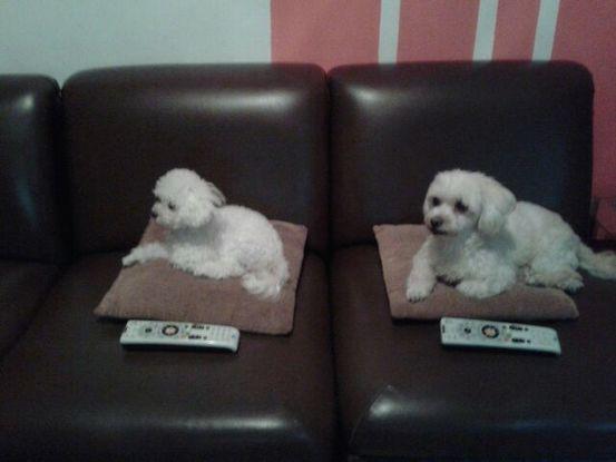 Zafi y Reycha.. madre e hija, son unas pasadas y les encanta ver tele