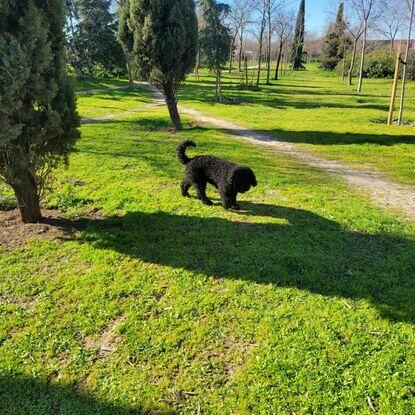 En su parque favorito