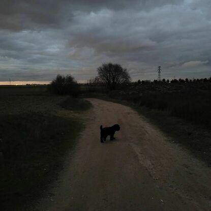 En el campo