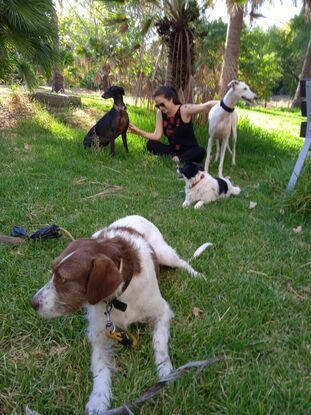 En el parque con Rueca y Manchas