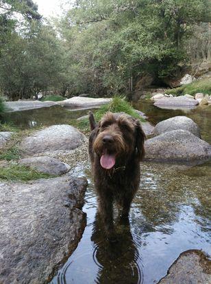 Milton chapoteando en la sierra