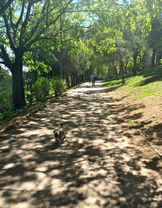 Parque del Turó de la Peira cerca de la casa