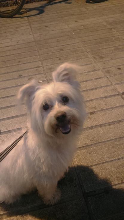 Paseo por las calles de Badajoz a este abuelete!