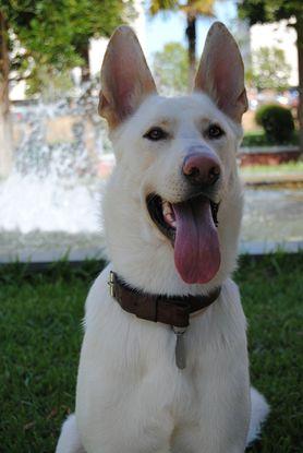 Jornada de juegos en el parque con el precioso Kyon <3
