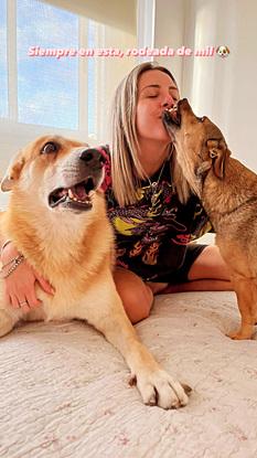 Rocky, uno de los perritos que rescatamos en Argentina