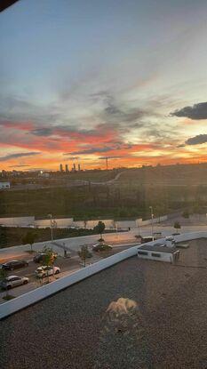 Vistas del parque desde el balcón