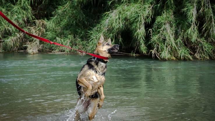 jara de excursión al rio