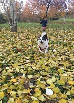 Roke en el parque con mi hija