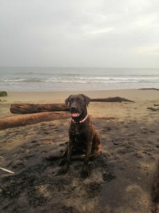 Simona en playa