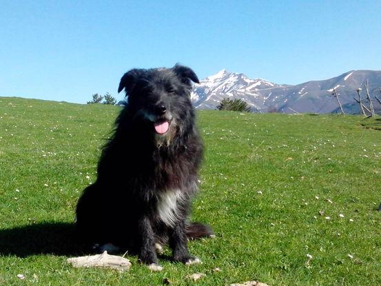 Pirinéo navarro, lugar del domicilio habitual de Ortz y mio.