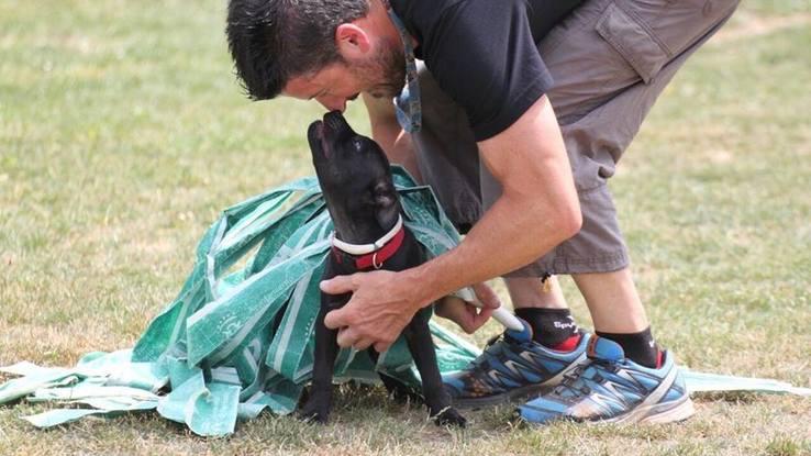 Clase de habituación de cachorro en club canino.