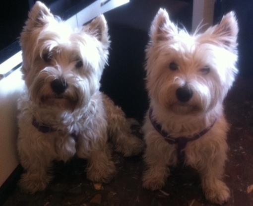 Arturo y Jimena