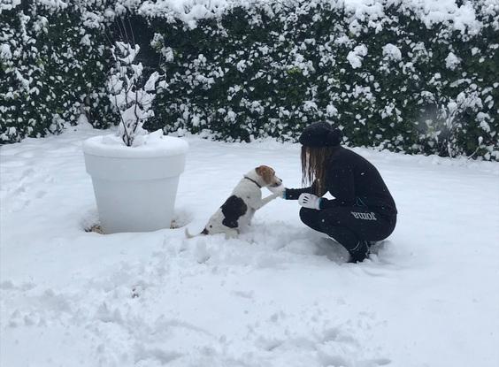 Disfrutando la nieve