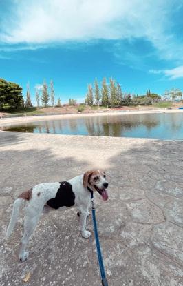 Disfrutando del paseo en el lago