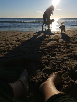 De playeo con los peludos