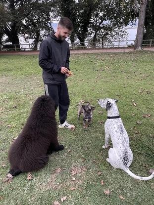 Bongo, Tadeo y Baloo en Alcabre