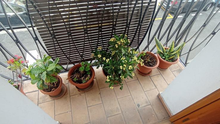Mi balcón 