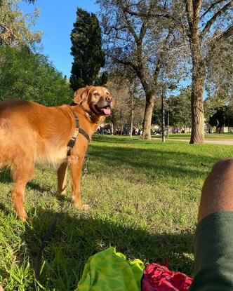 epaseo en el parque