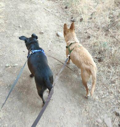 Jeffrey y Shuri paseando juntos