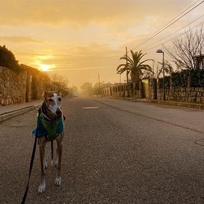 Amanecer con Choro