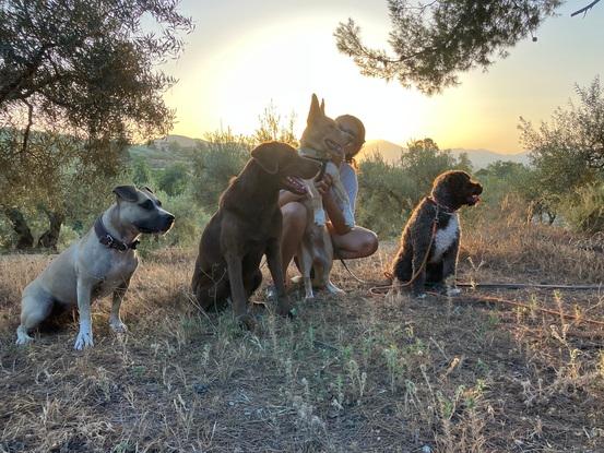 Paseos al campo