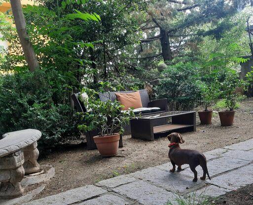 Manuela, en mi jardín