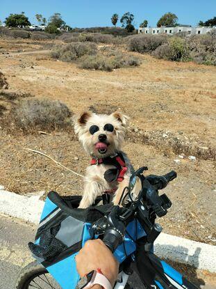 Haciendo deporte en bicicleta