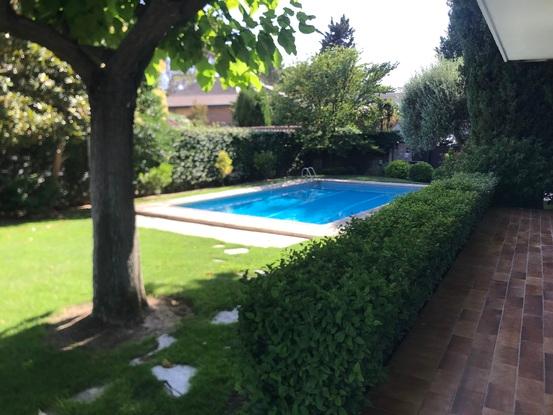 el jardín de mi casa. 