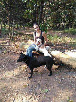 Paseos em parques 