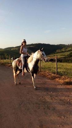 Trabajo voluntario de rehabilitación de caballos