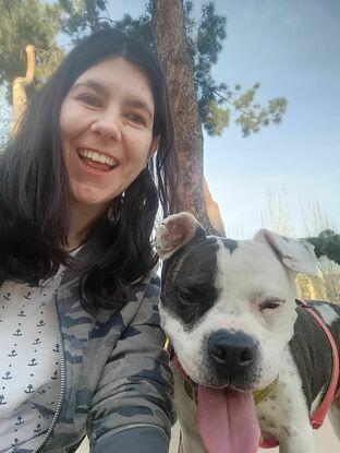 Tana, una Pitbull que cuido desde hace años