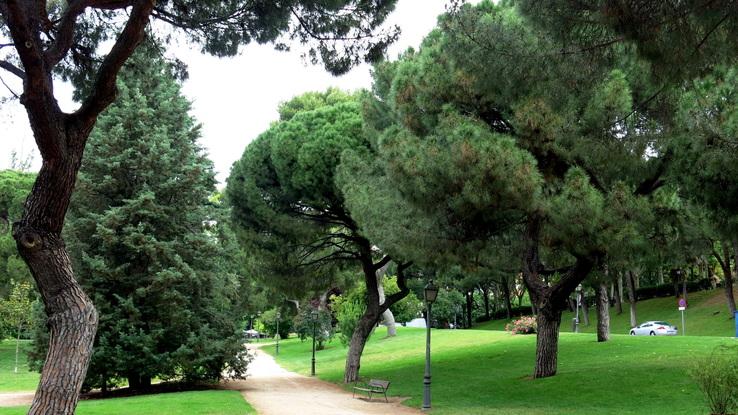 Parque del Oeste