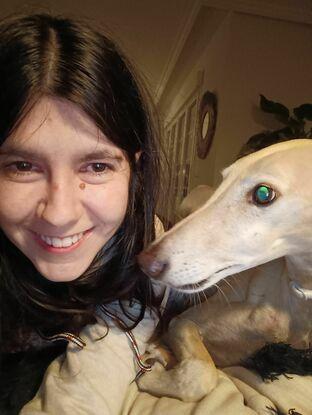 Jagger, un galgo adorable