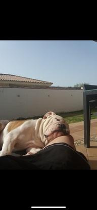 Tomando el sol