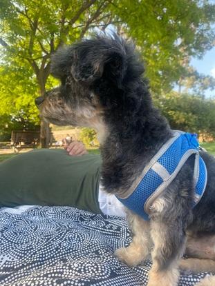 Un fin de semana con Chopi