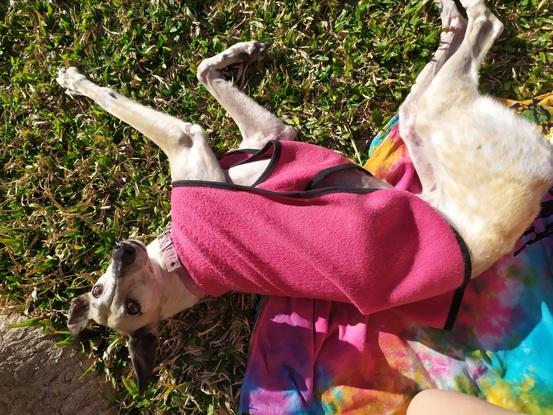 Kuki siendo top model 2