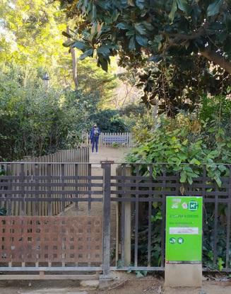 Parque de perros en sagrada familia