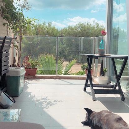 Peggy y Bicho tomando el sol