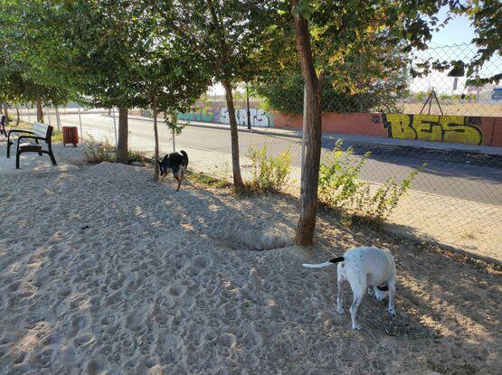 En el parque canino