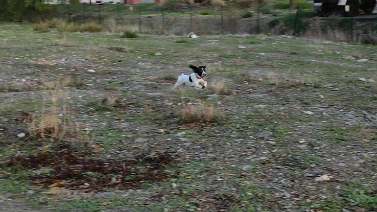 Zeus: "Soy rápido como el viento, fiumm"