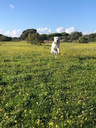 Paseando por el parque natural 🌱