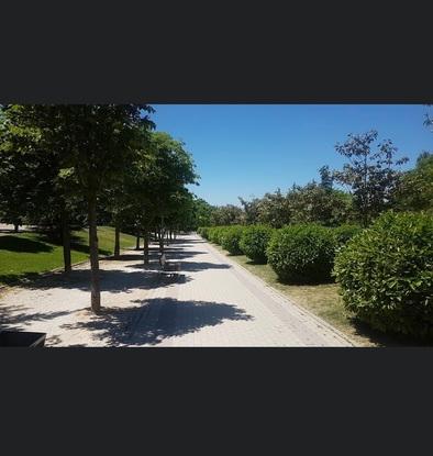 Parque de Aguntín Rodríguez Sahagún