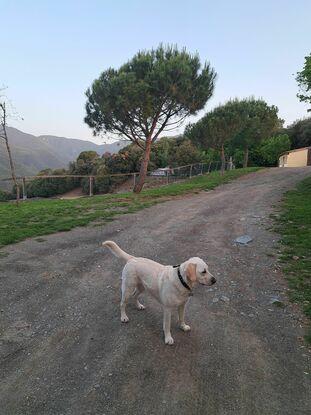 De paseo