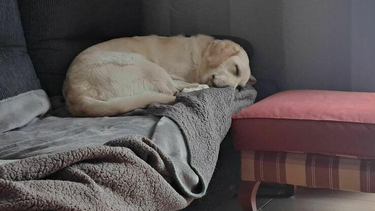 Zzzzzź