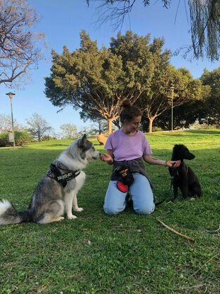 En el parque 🐶