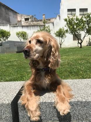 Mérida tomando el sol